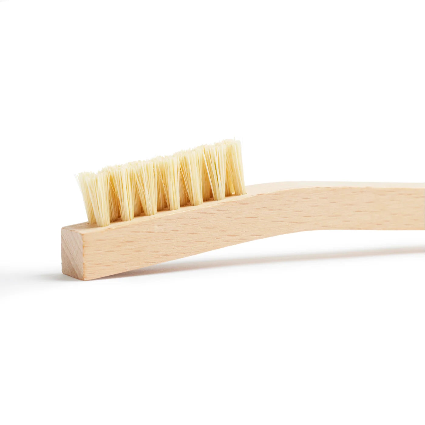 Tampico Cleaning Brush